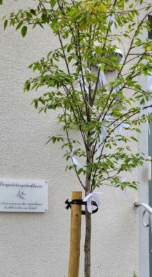 Familienorientiertes Suchthilfe-Zentrum Wesel