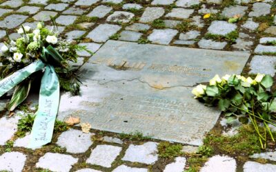 Verein Arbeits- und Erziehungshilfe e.V. (vae), Integrative Drogenhilfe e. V. (idh), JES, La Strada – Drogenhilfezentrum der AIDS-Hilfe Frankfurt e.V, Kiosk der Solidarität